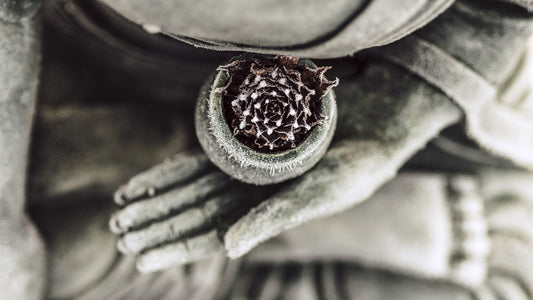 Metta-Meditation: Die Kraft des Selbstmitgefühls