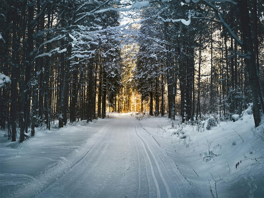 Ayurveda im Winter: Tipps für die kalten Tage