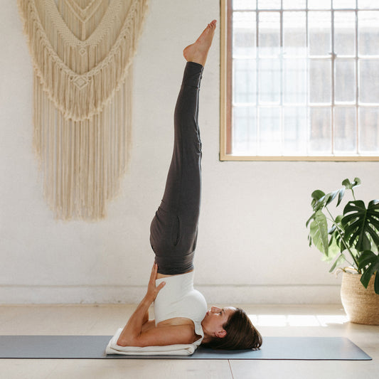 Bordeaux Natur Anthrazit Aubergine Himmelblau Königsblau Indigo Dust Royal Blue Nature Anthracite